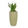 10.6" Self-watering Wicker Planter - Garden Decoration Pot - Beige - Round