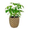 14.6" Self-watering Wicker Planter - Garden Decoration Pot - Dark Brown - Round