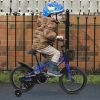 Kids Bike 14 inch for Boys & Girls with Training Wheels, Freestyle Kids' Bicycle with Bell,Basket and fender.